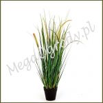 Foxtail Wild Grass