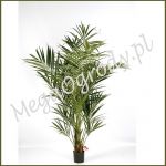 Natural Kentia Palm De Luxe