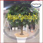 megaogrody_1597n-1598n_1