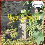 megaogrody_Caminostone_3