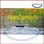 megaogrody_korro_cyrkulator_2400_2