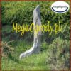 Monolit guben - obrazek 4