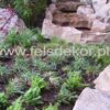 Apartamenty SILESIA LEOPOLDINUM - strumień - obrazek 15