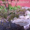 Apartamenty SILESIA LEOPOLDINUM - strumień - obrazek 17