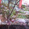 Apartamenty SILESIA LEOPOLDINUM - strumień - obrazek 19