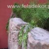 Apartamenty SILESIA LEOPOLDINUM - strumień - obrazek 6