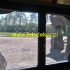 Ogrody, ogrody w mieście, Gartenschaupark Rietberg Felsverkleidung - obrazek 12