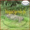 Kamień dekoracyjny R13 do ogrodu - obrazek 5